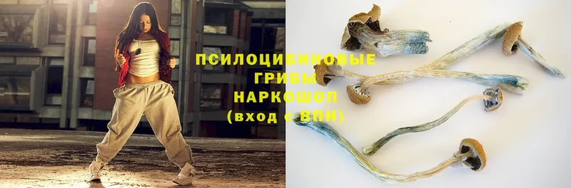 гидра ССЫЛКА  Екатеринбург  Псилоцибиновые грибы MAGIC MUSHROOMS  где купить  